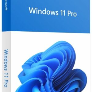 Windows_11_Pro